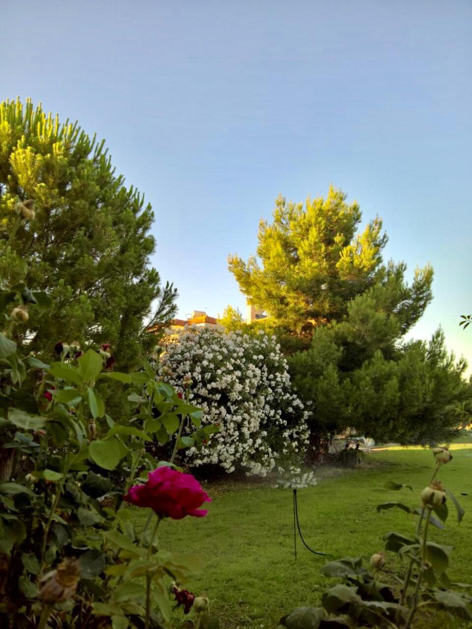 Vila Marita Lisvori Exteriér fotografie