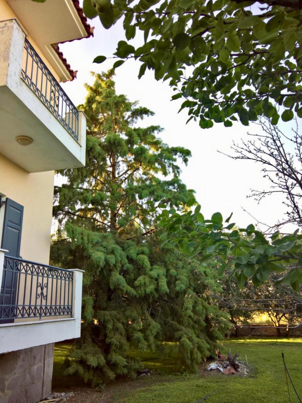 Vila Marita Lisvori Exteriér fotografie