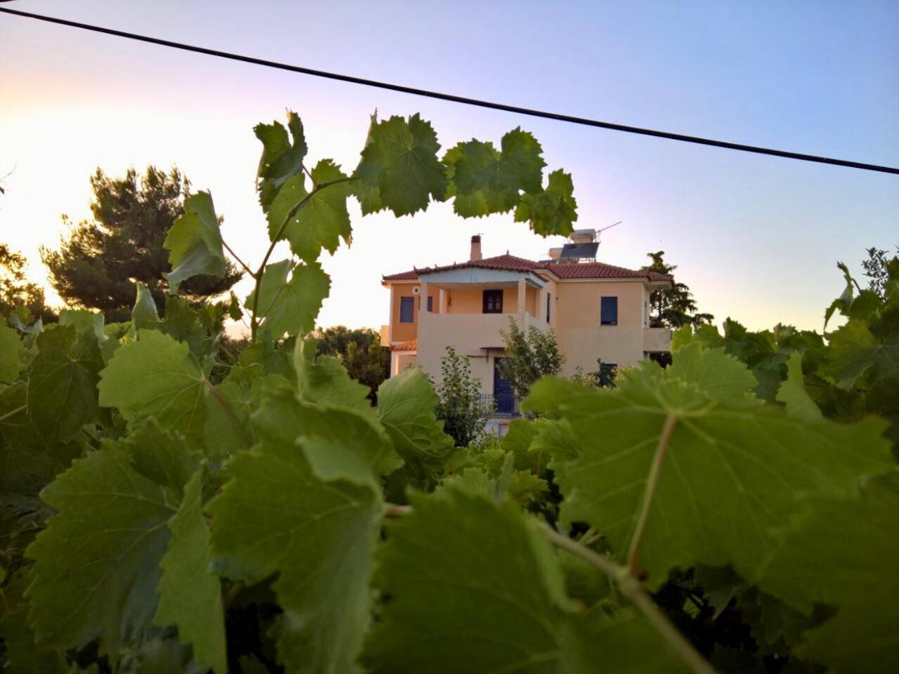 Vila Marita Lisvori Exteriér fotografie